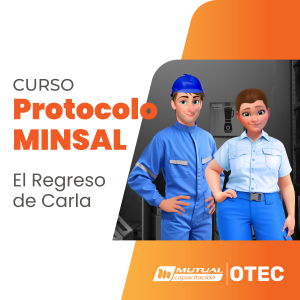 Aplicación de Procedimientos de Protocolos MINSAL en Salud y Seguridad Ocupacional