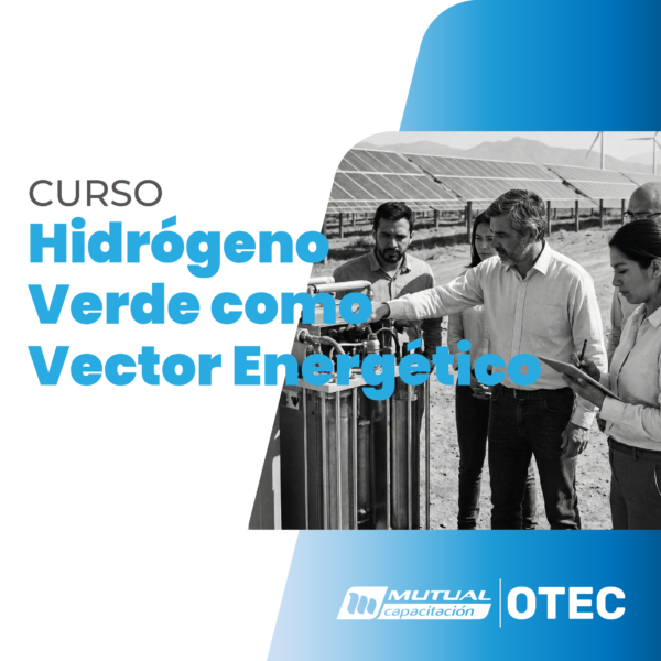 Identificación del Hidrógeno Verde como Vector Energético