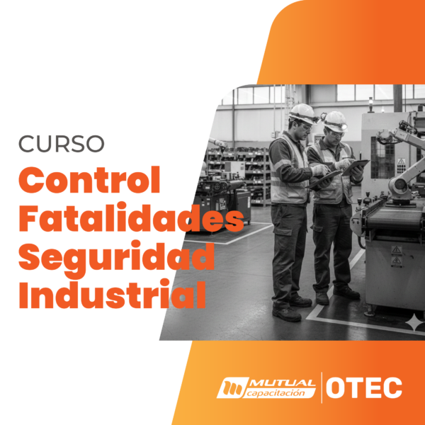 Aplicación de Herramientas de Seguridad y Salud Ocupacional según Estándar de Control de Fatalidades