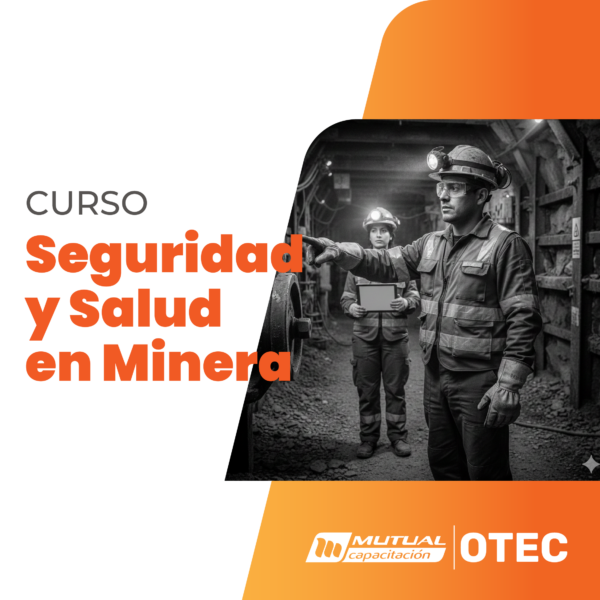 Aplicación de Técnicas Básicas de Seguridad y Salud Ocupacional Operaciones Mineras