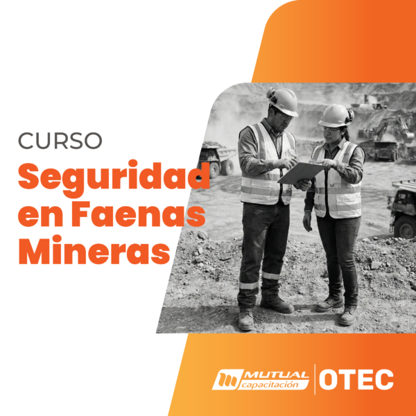 Aplicación de Técnicas Básicas de Seguridad en Faenas Mineras