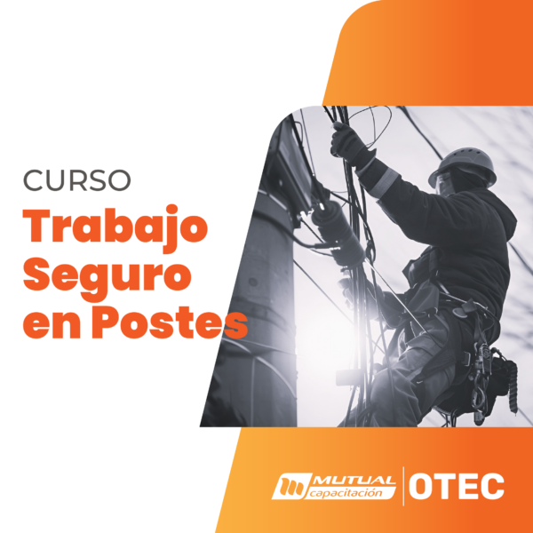 Aplicación Procedimientos para Trabajo Seguro en Postes