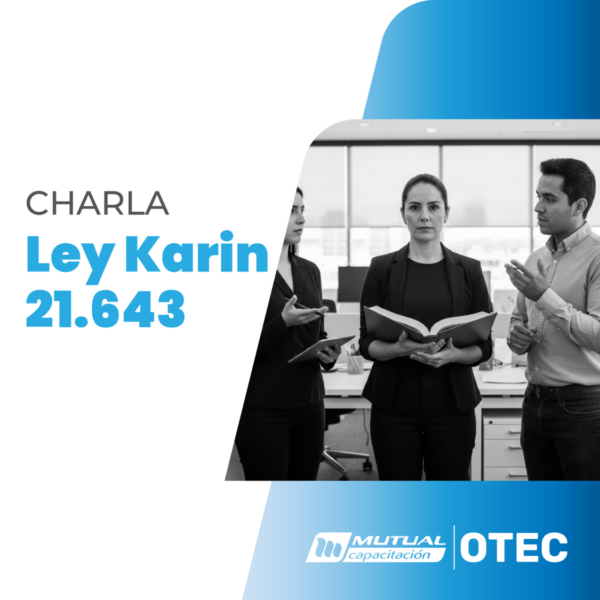 Ley Karin